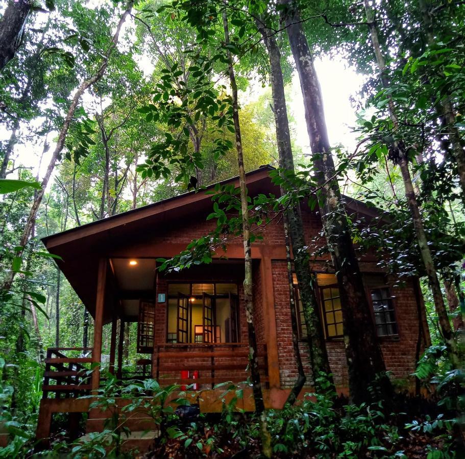 เปอร์ไมเรนฟอเรสรีสอร์ท ซานตุบอง ภายนอก รูปภาพ