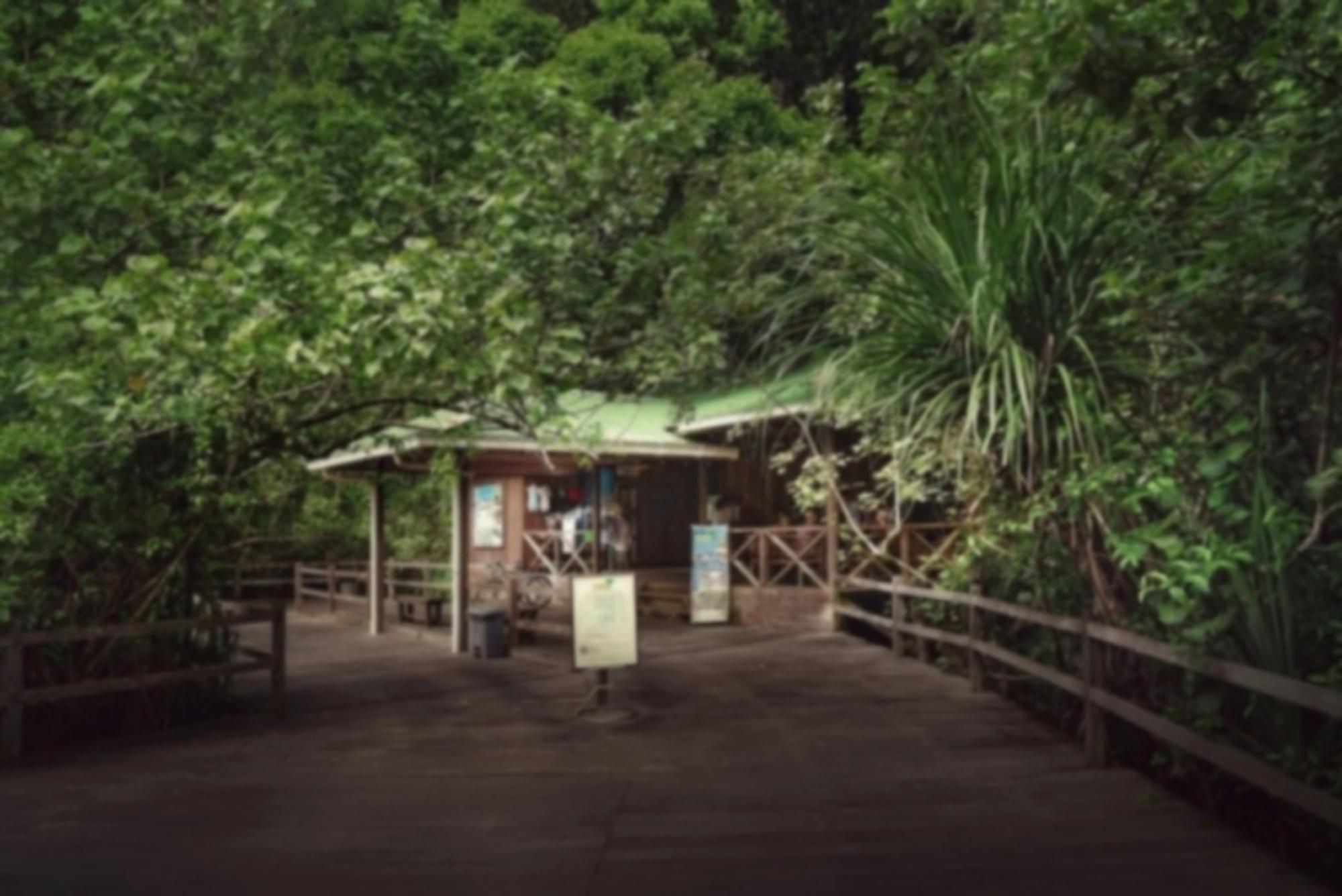 เปอร์ไมเรนฟอเรสรีสอร์ท ซานตุบอง ภายนอก รูปภาพ