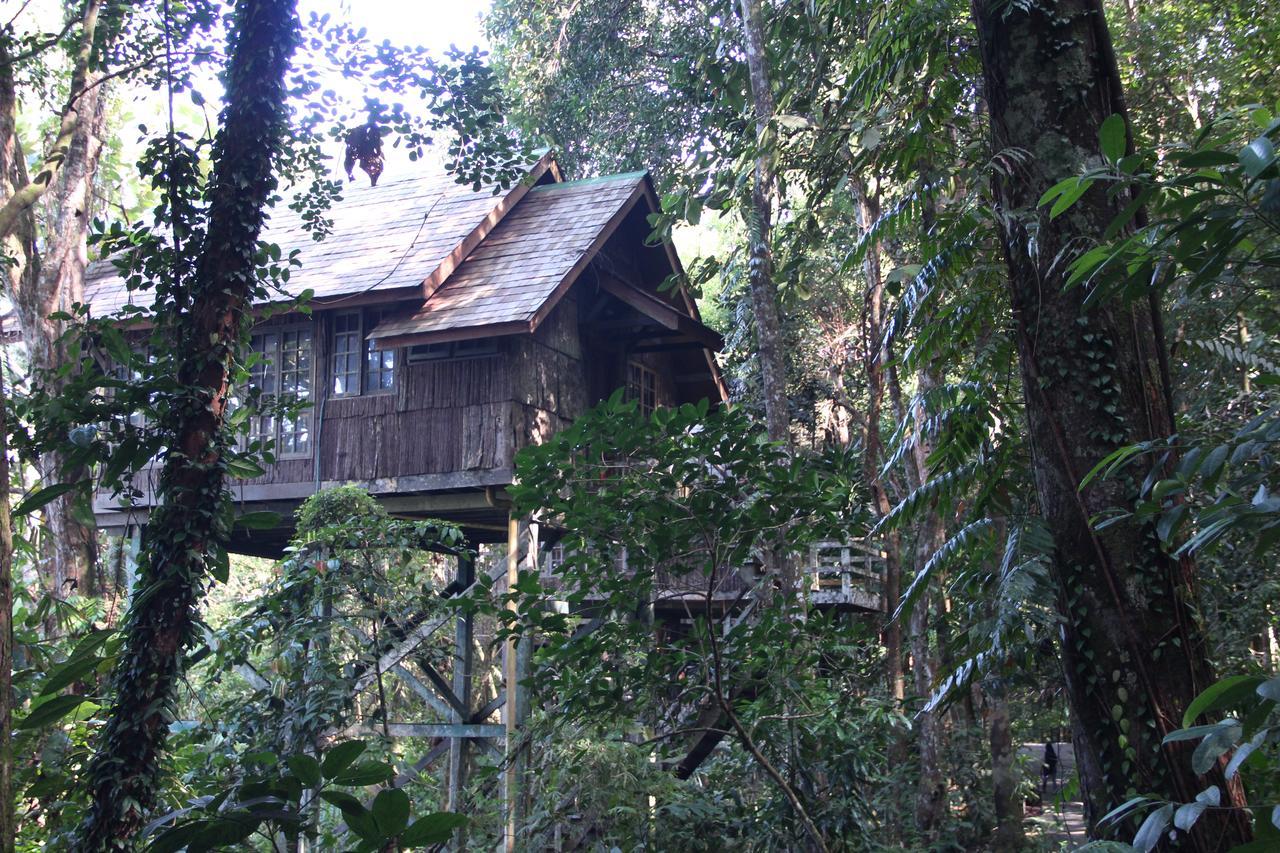เปอร์ไมเรนฟอเรสรีสอร์ท ซานตุบอง ภายนอก รูปภาพ