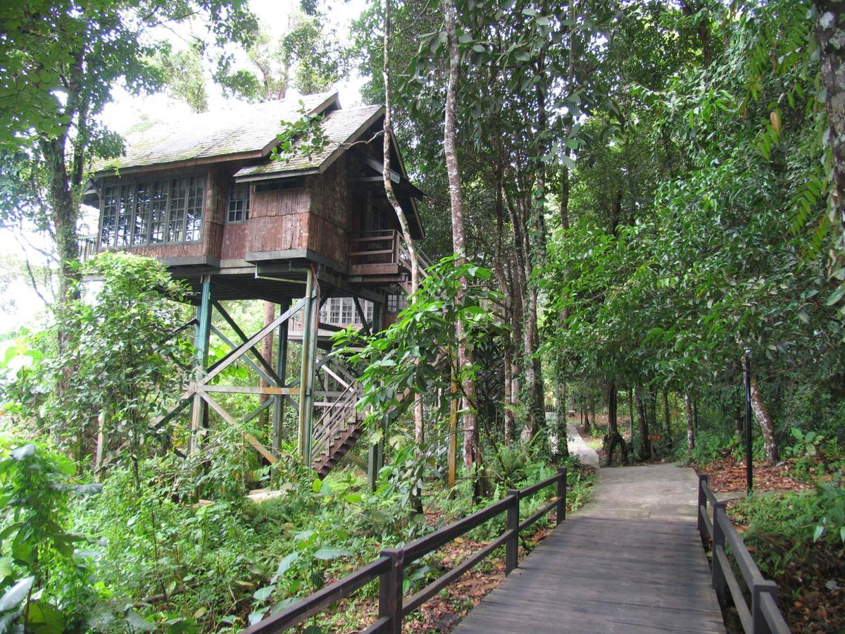 เปอร์ไมเรนฟอเรสรีสอร์ท ซานตุบอง ภายนอก รูปภาพ
